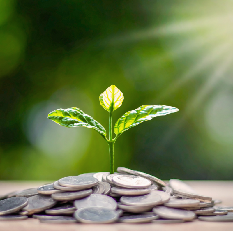 Finance and Loan Brokers